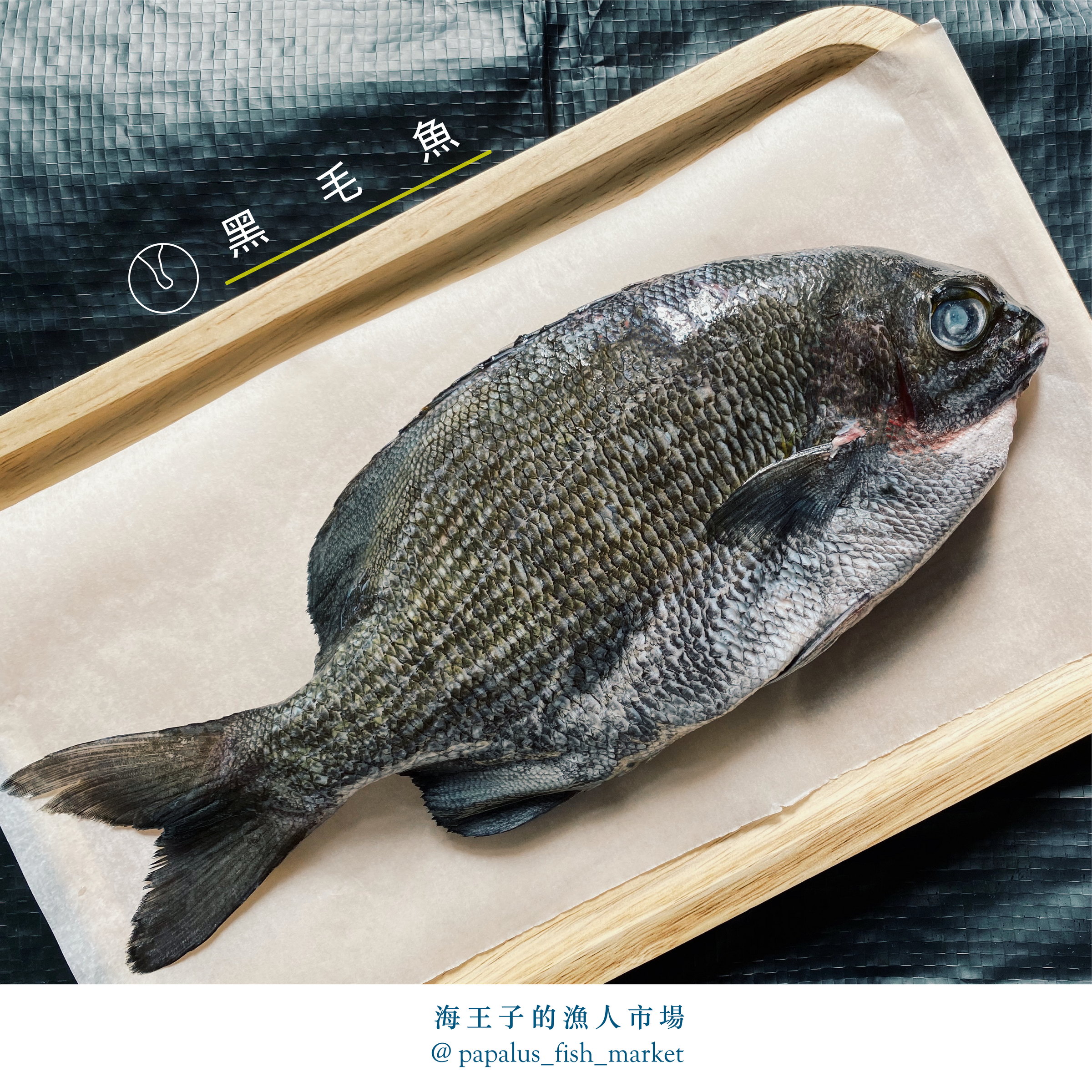 黑毛魚 海王子的漁人市場