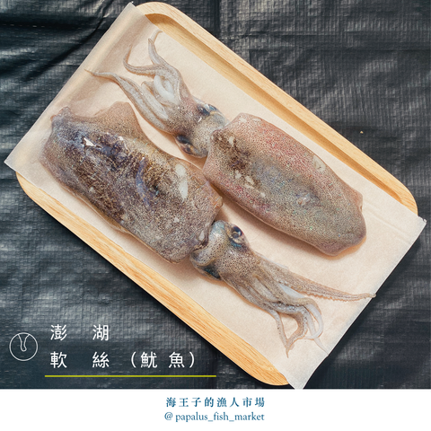 軟絲魷魚.png