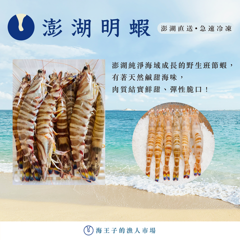 澎湖明蝦商品圖.png
