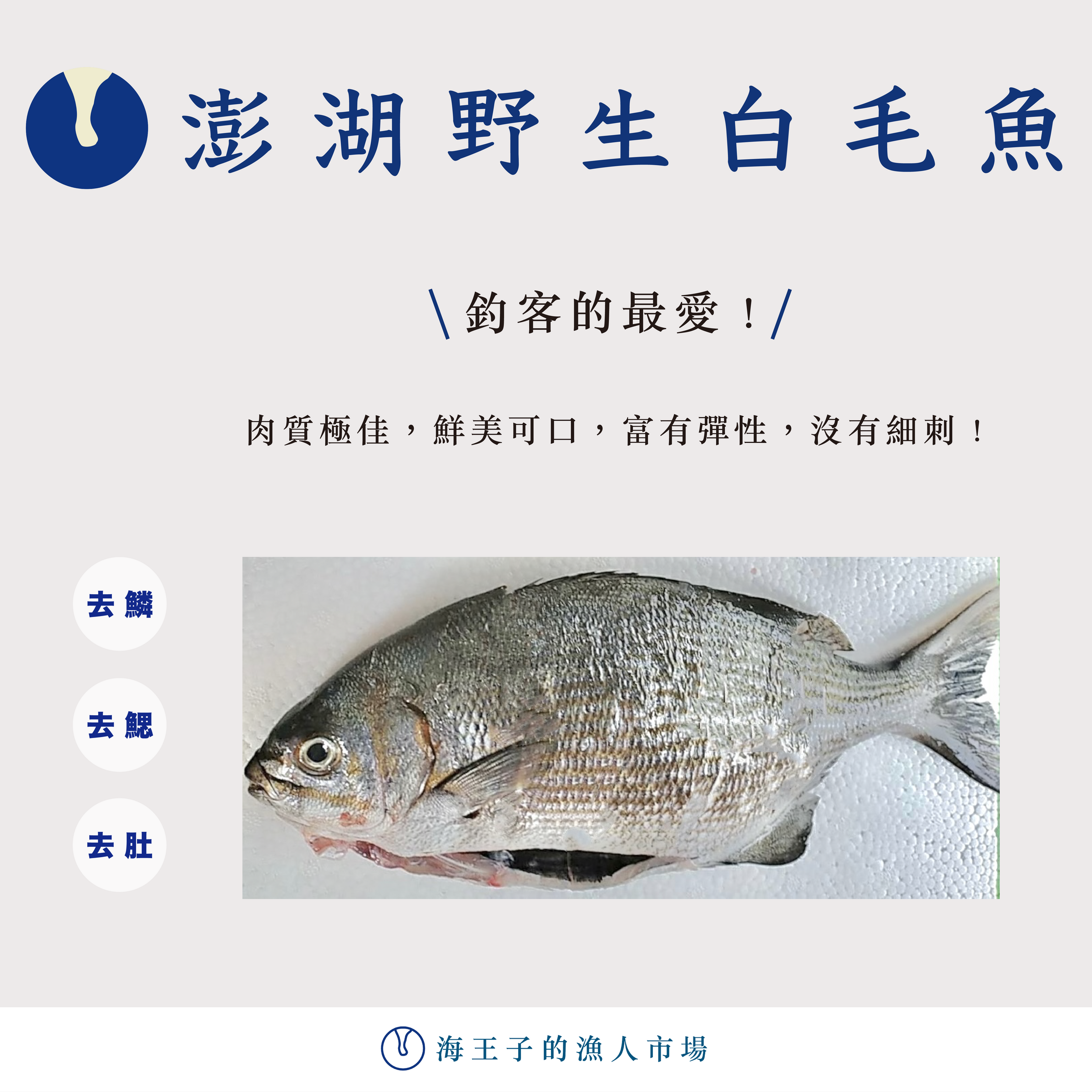 白毛魚 海王子的漁人市場 白毛魚 海王子的漁人市場