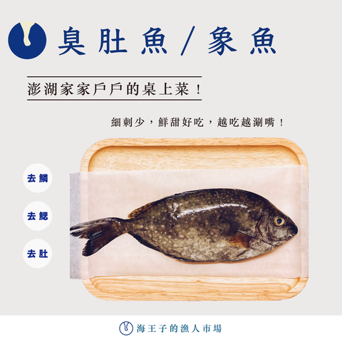 臭肚魚商品圖.png