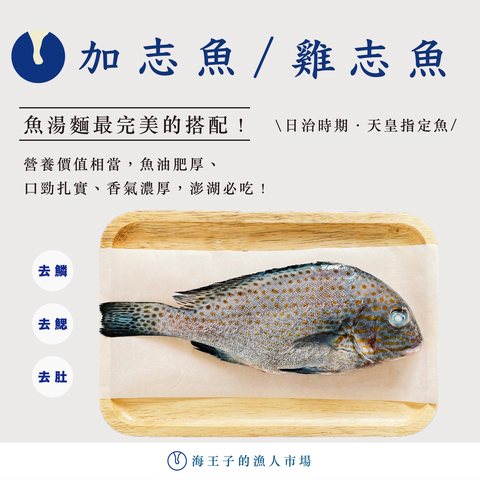 加志魚商品圖.png