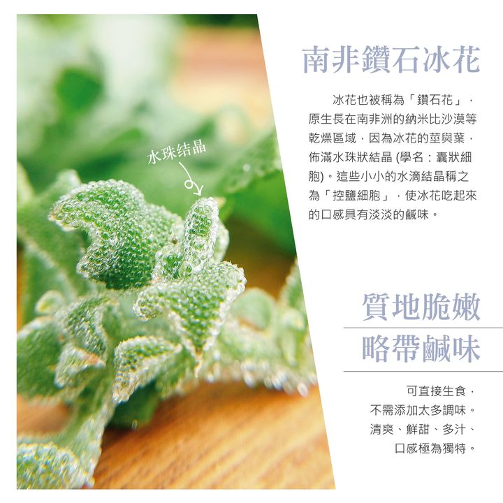 冰花01.jpg