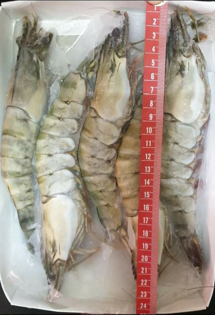 20220126_090817.jpg