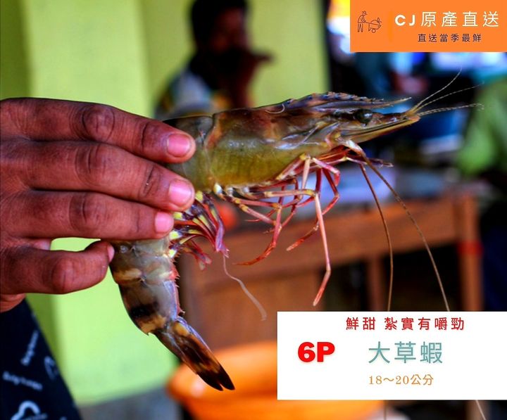 Screenshot_20220117-233333_Canva.jpg