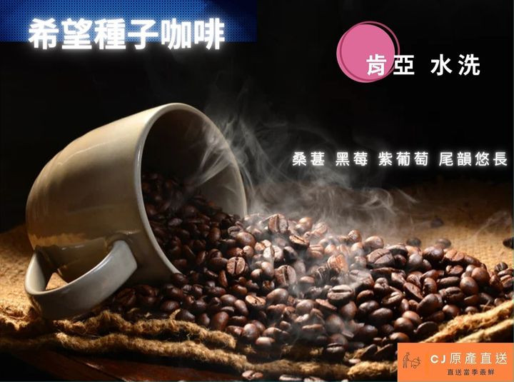 Screenshot_20220217-035827_Canva.jpg
