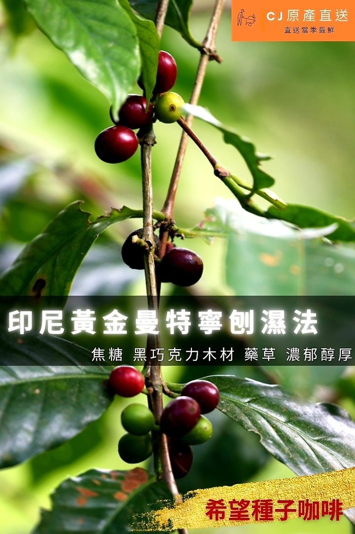SmartSelect_20220218-092936_Canva.jpg