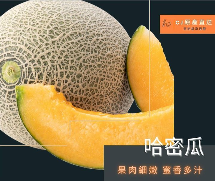 哈密瓜.jpg