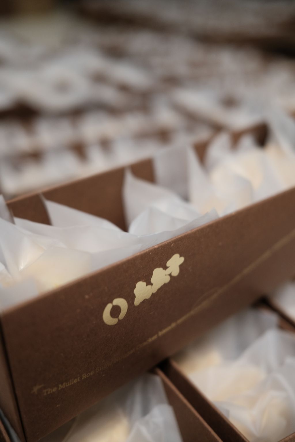 image_19FC6824-407A-4D13-A492-2DAB7156AD4F_1759806928