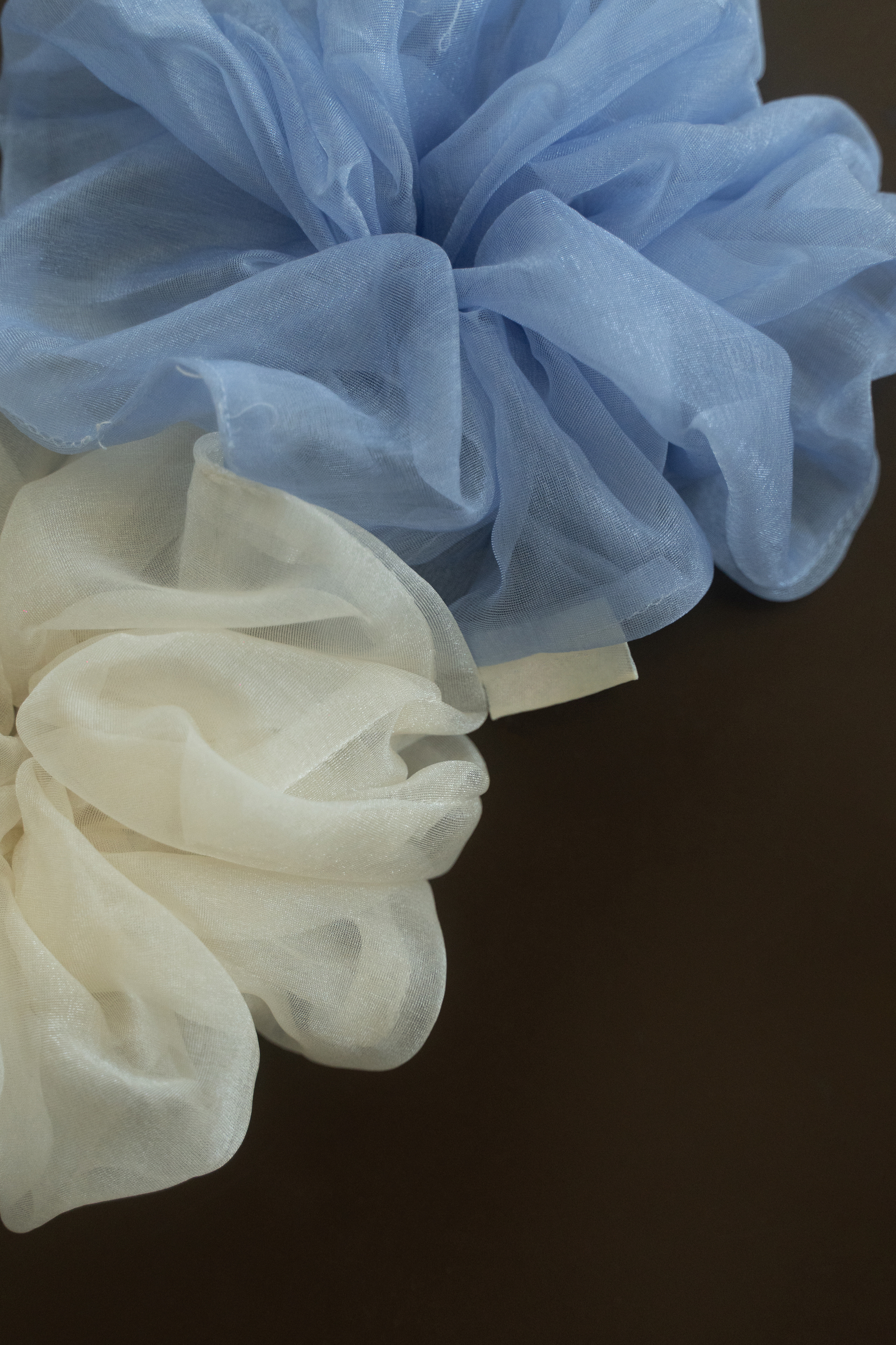 image_556FC8BF-A41C-429F-B325-6DDE768EA659_1753356242