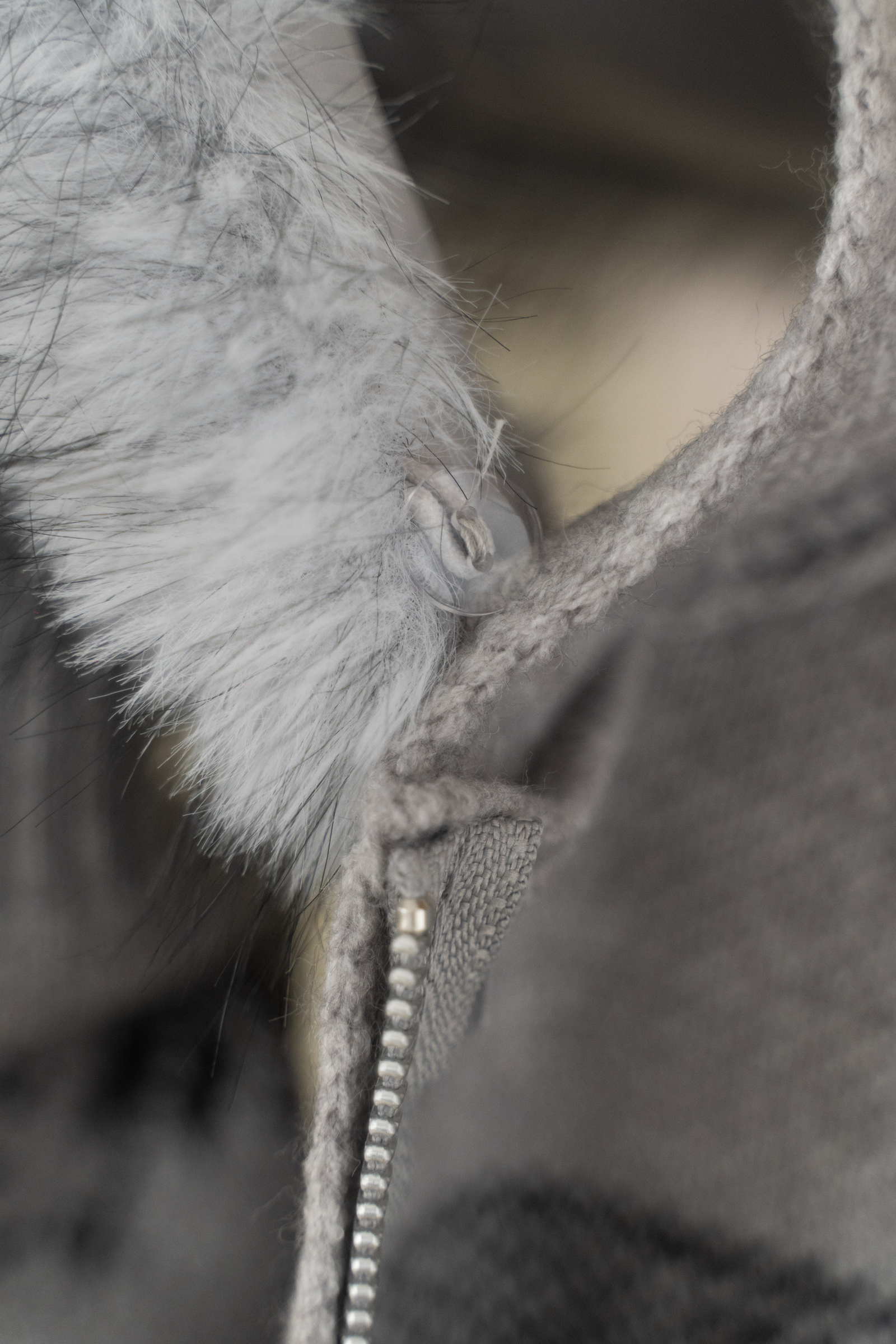 image_B0EE438E-CEA1-42EF-9BD5-812F36BD61B7_1768228632