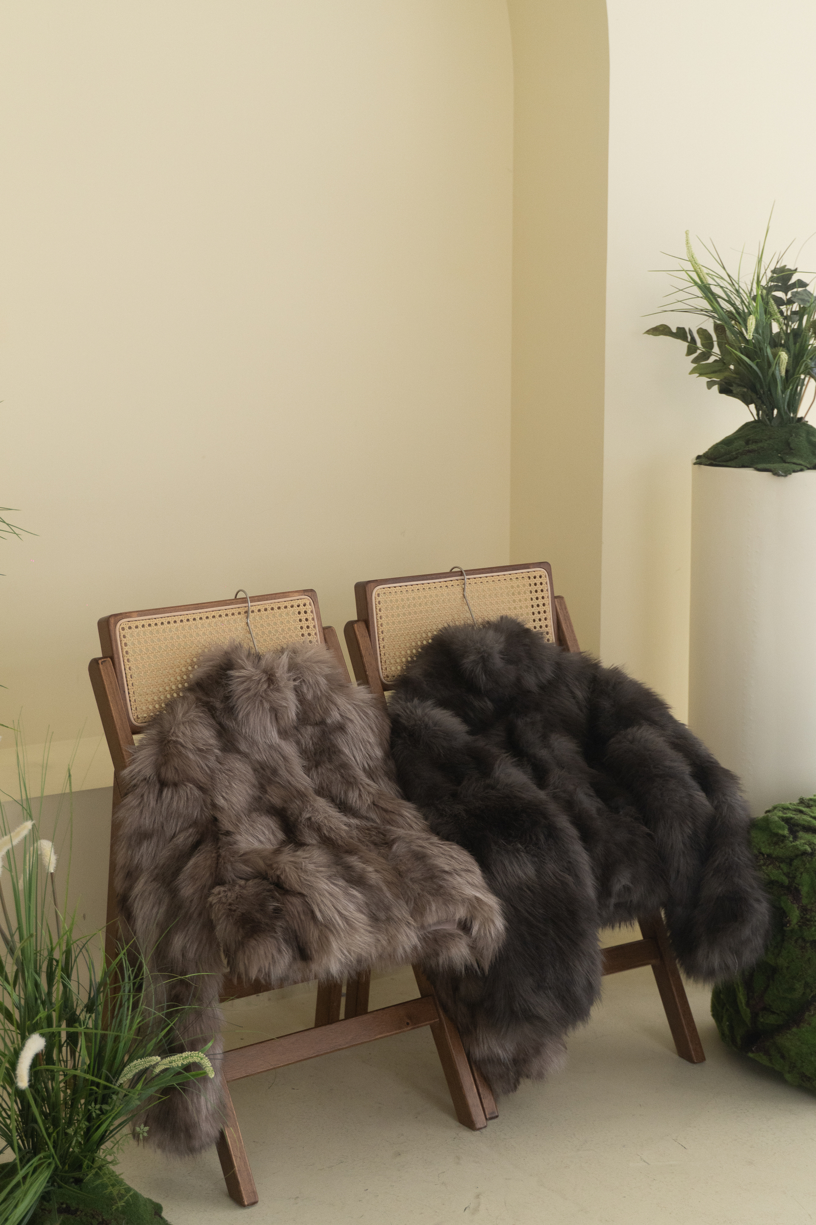 image_F4EF082E-604F-44BB-8BCA-9C12555B7B1B_1768301131