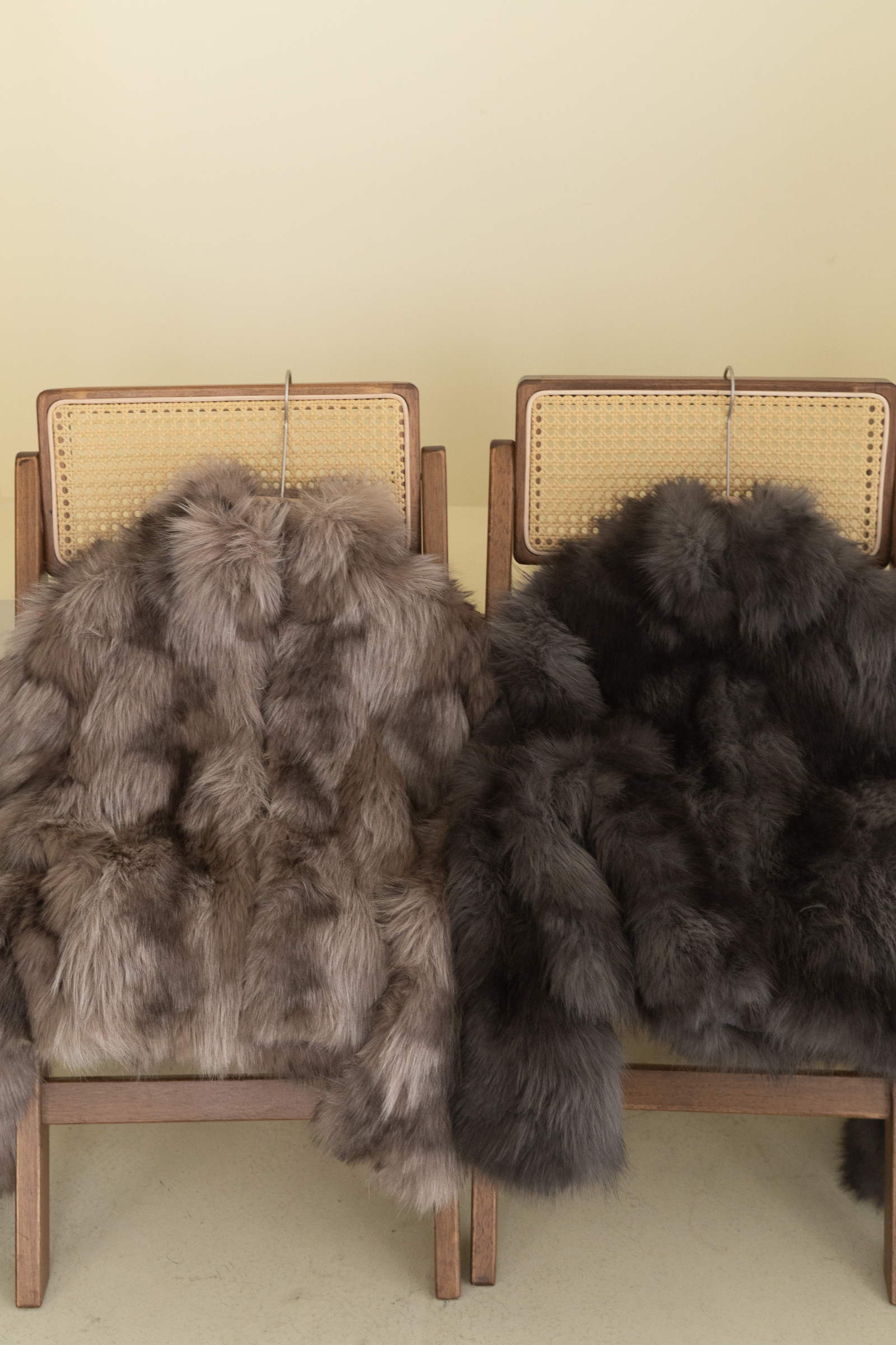 image_2779681A-02CF-4949-8488-CB05AFF0BEF8_1768301131