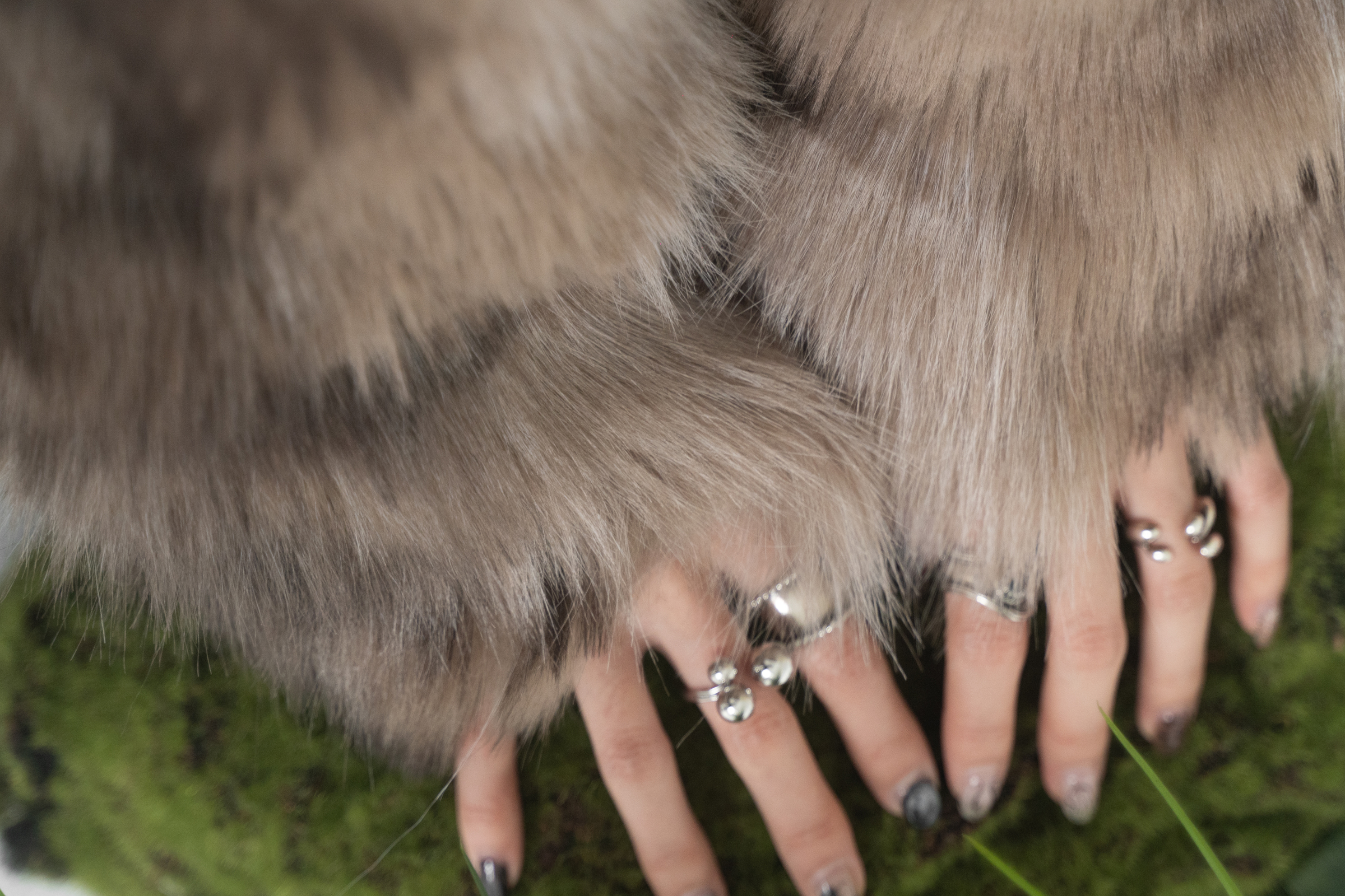 image_BF22322A-9397-4D07-A371-E3BFADA0F556_1768301131