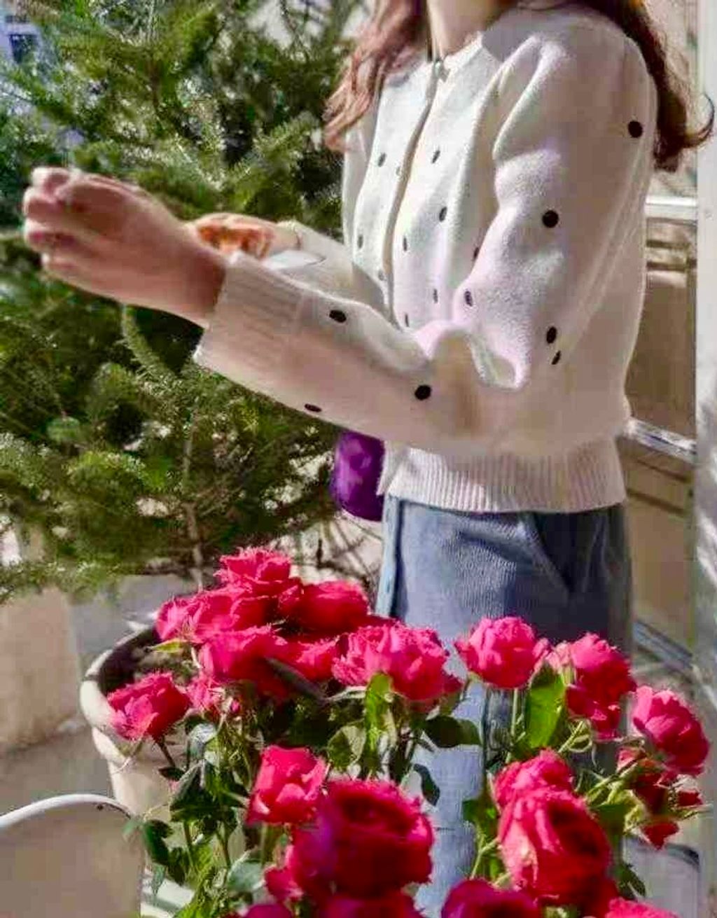 217324aff5d842a4456584f499ec288a