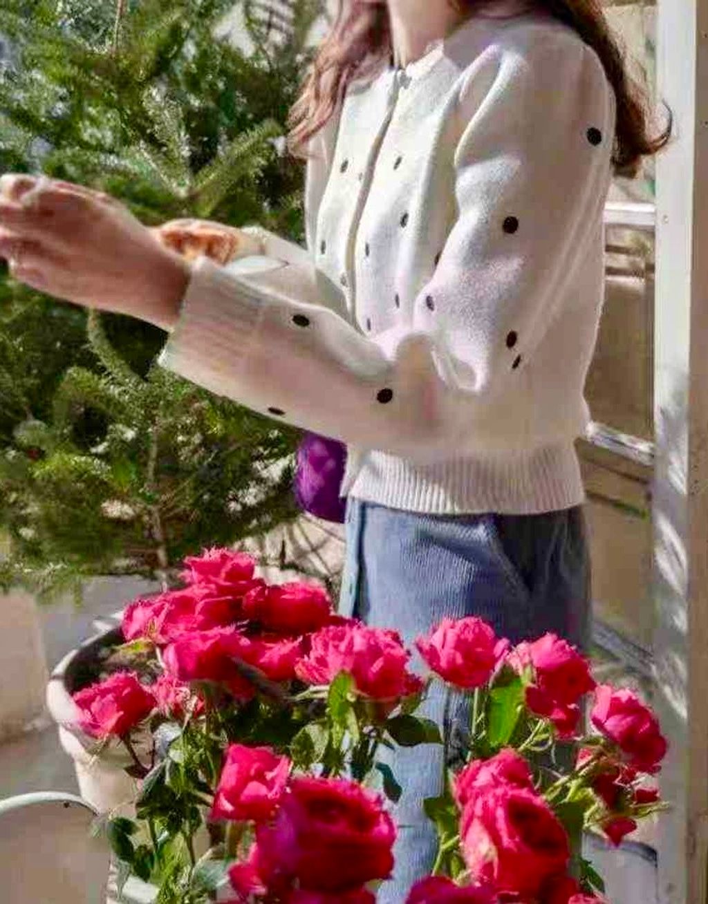 d752c42094cfe94a16970e1d3d36a7d9