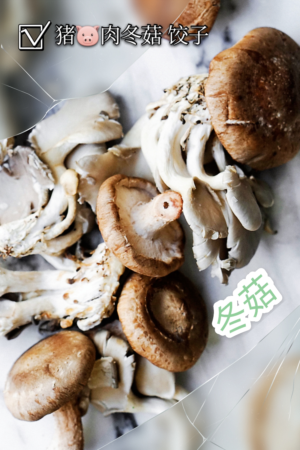 Crystal+Mushroom+Dumplings+__+Eat+Cho+Food.jpeg_mh1631218330189[9431].jpg