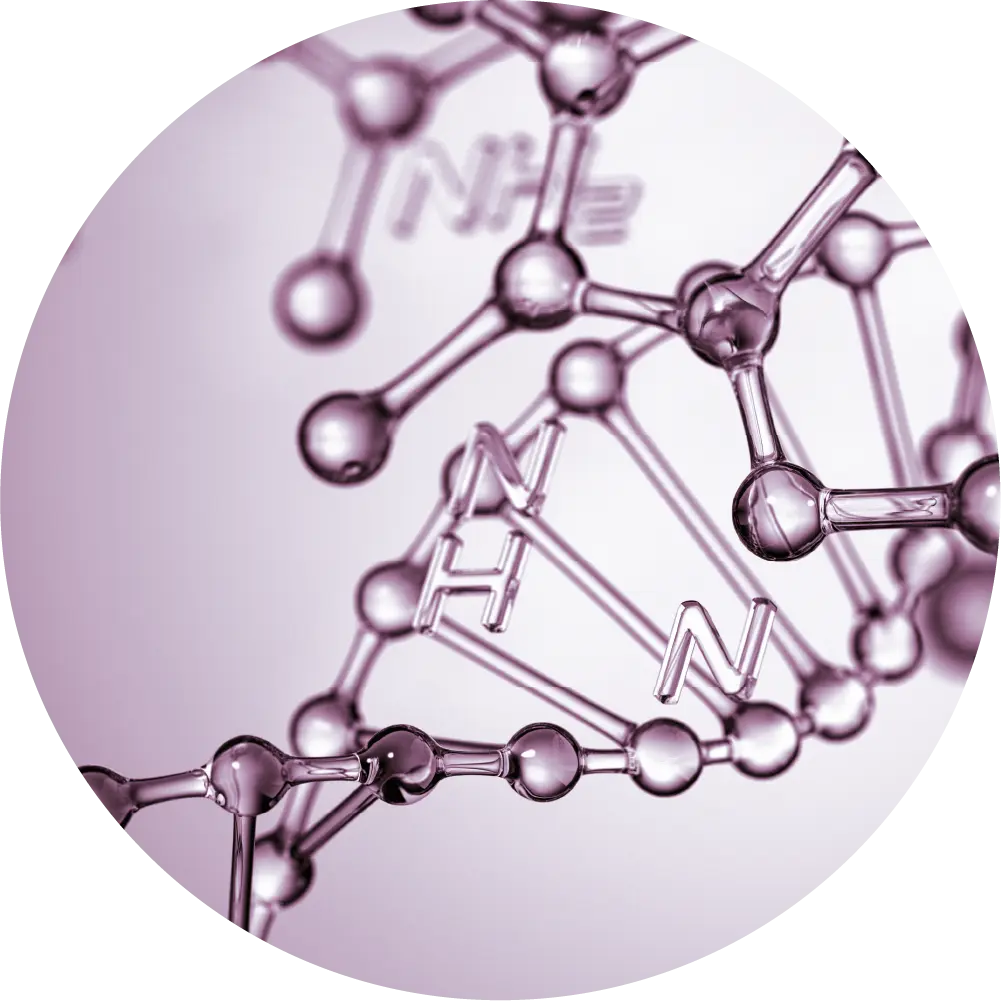 ARGIRELINE-AMPLIFIED