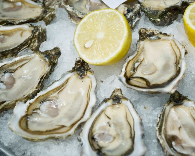 Jake's Family Farm | Hot Category Our Product - Live Oysters