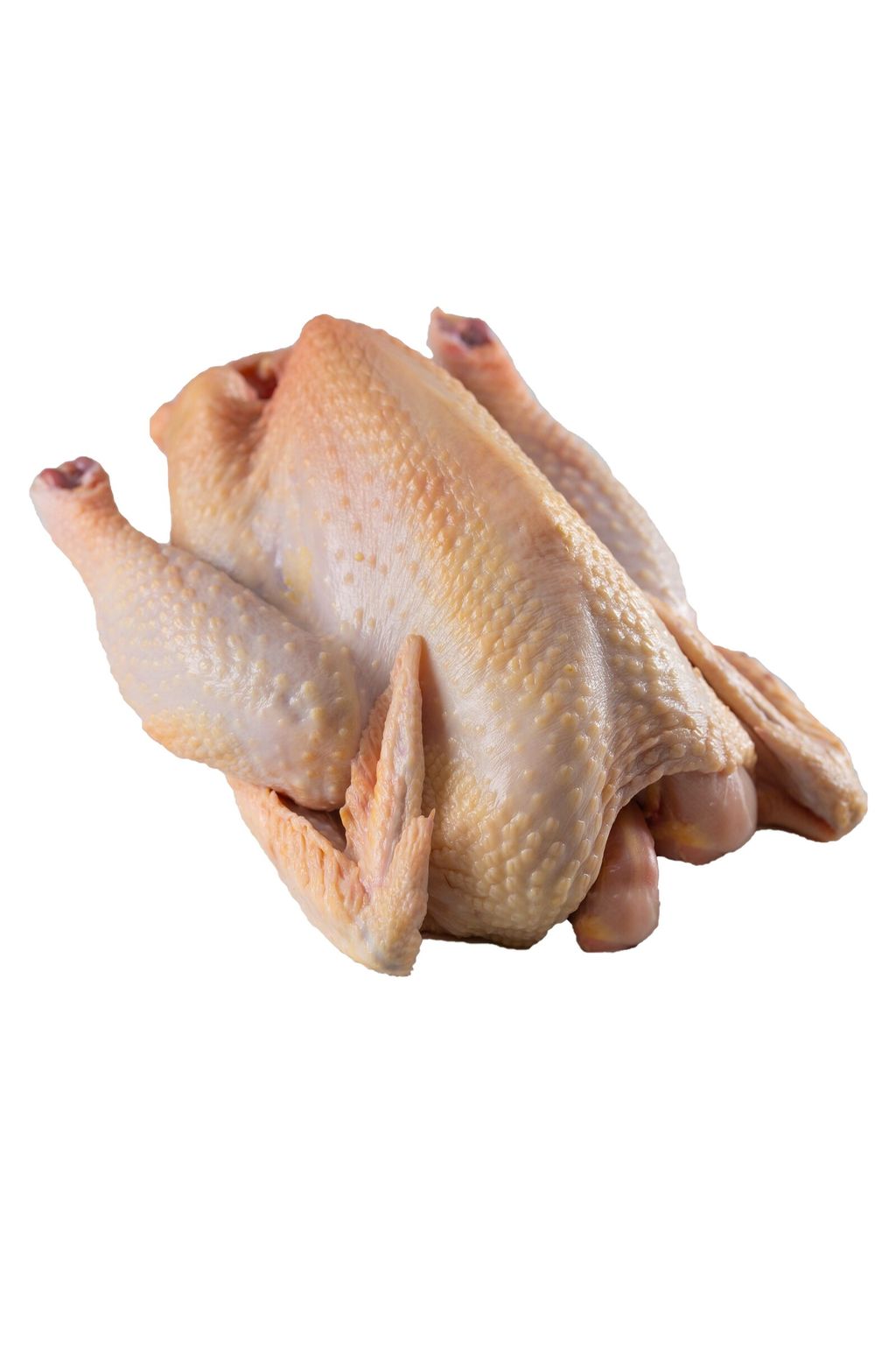 Chicken (White).jpg