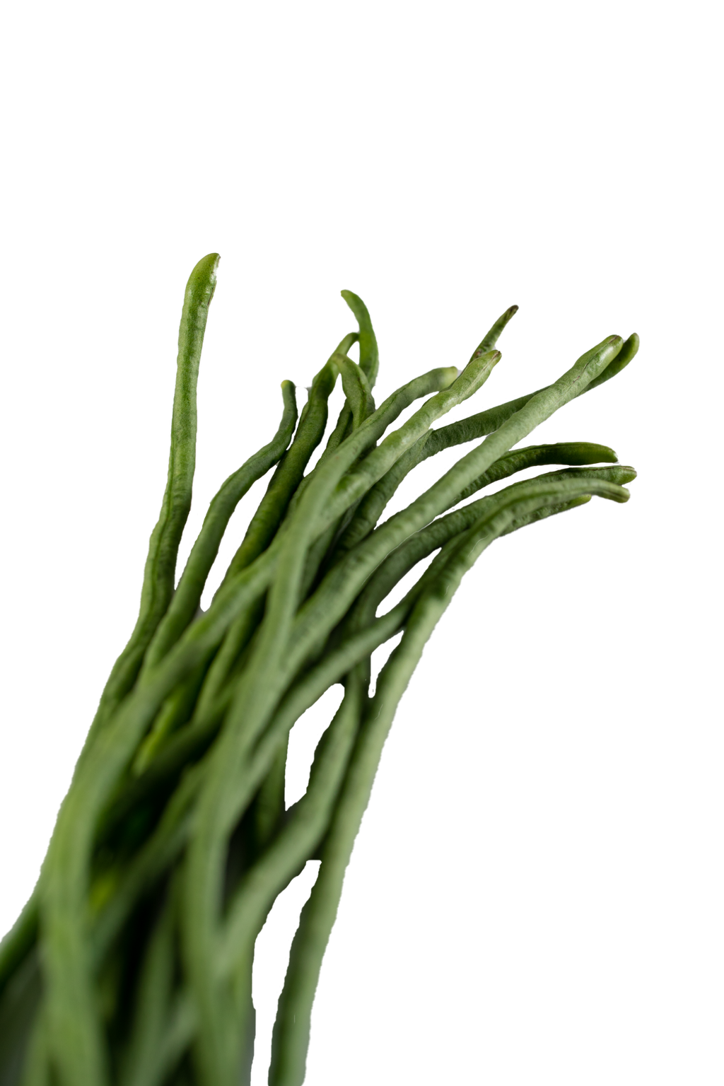 Long Bean 1 (PNG).png