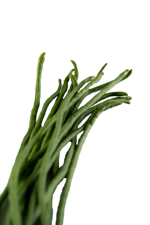 Long Bean 1 (PNG).png