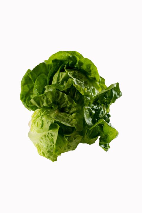 Lettuce Butterhead 1.jpg