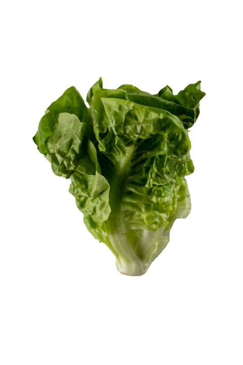 Lettuce Butterhead 2.jpg