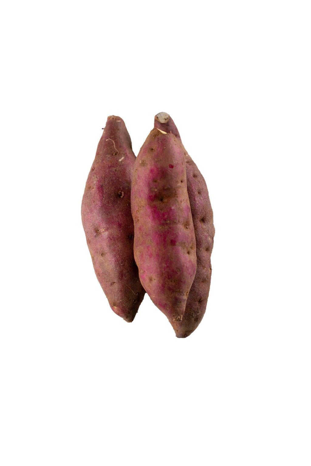 Sweet Potato 3 (White).jpg