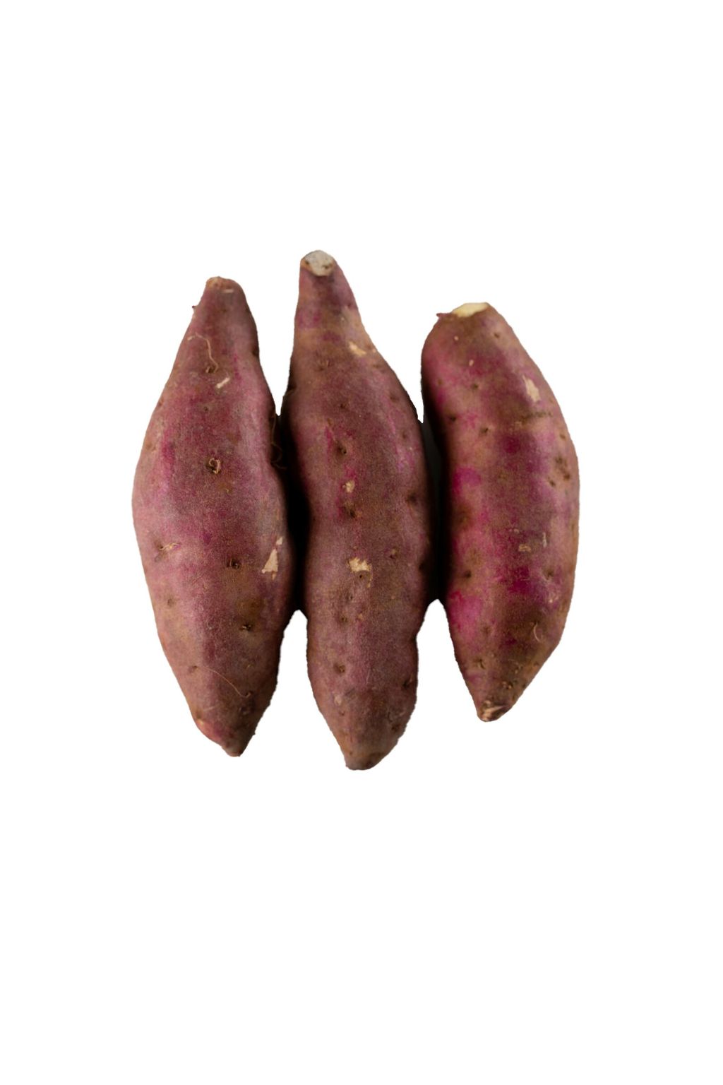 Sweet Potato 4 (White).jpg