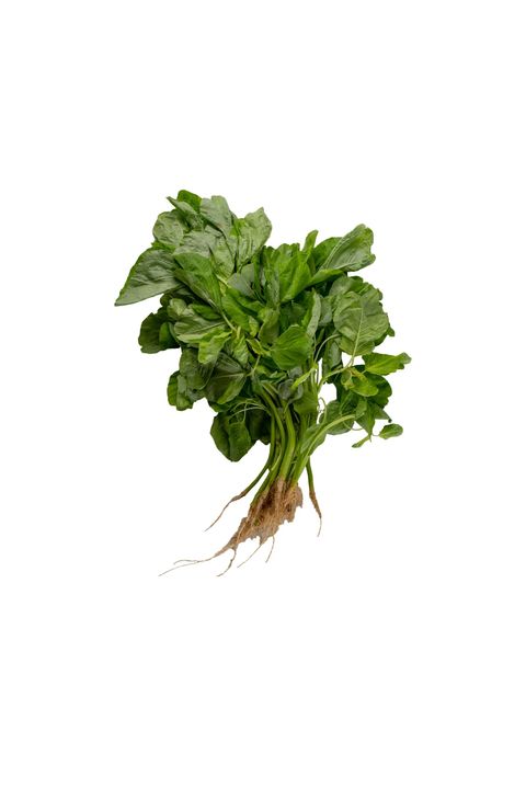 Spinach Bayam.jpg