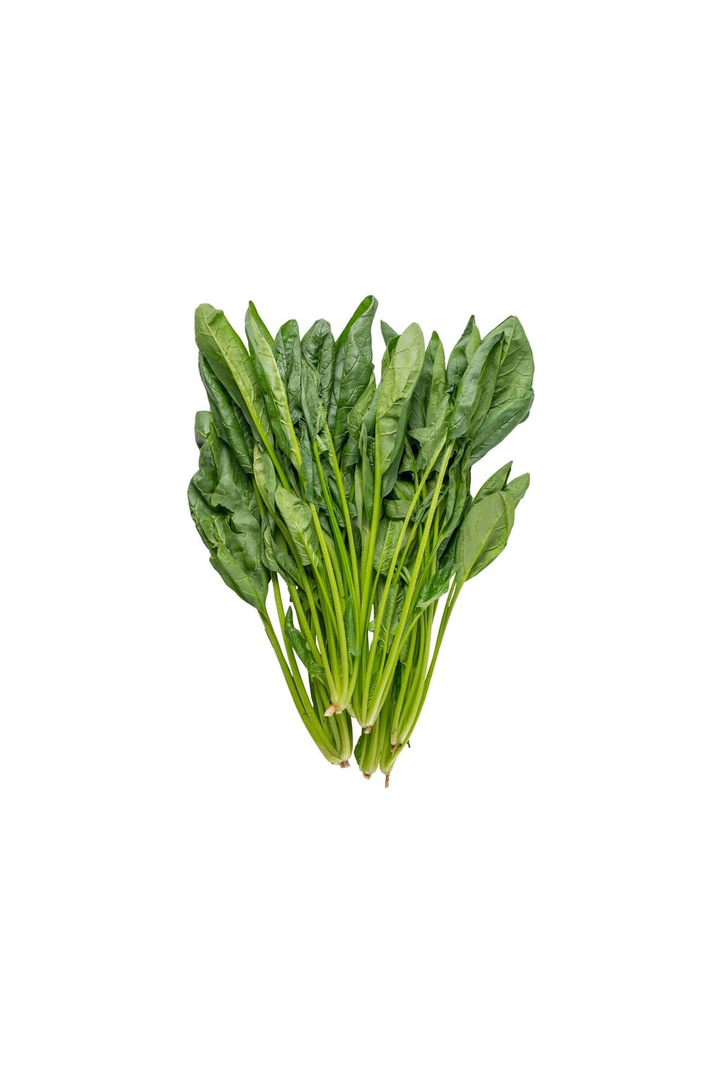 Spinach Poh Choy.jpg