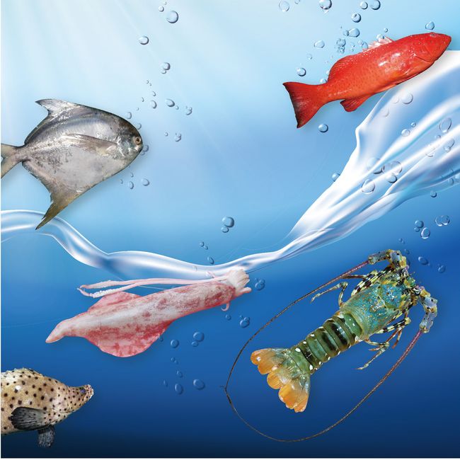 魚販子8號 |  - 冷凍海鮮肉品