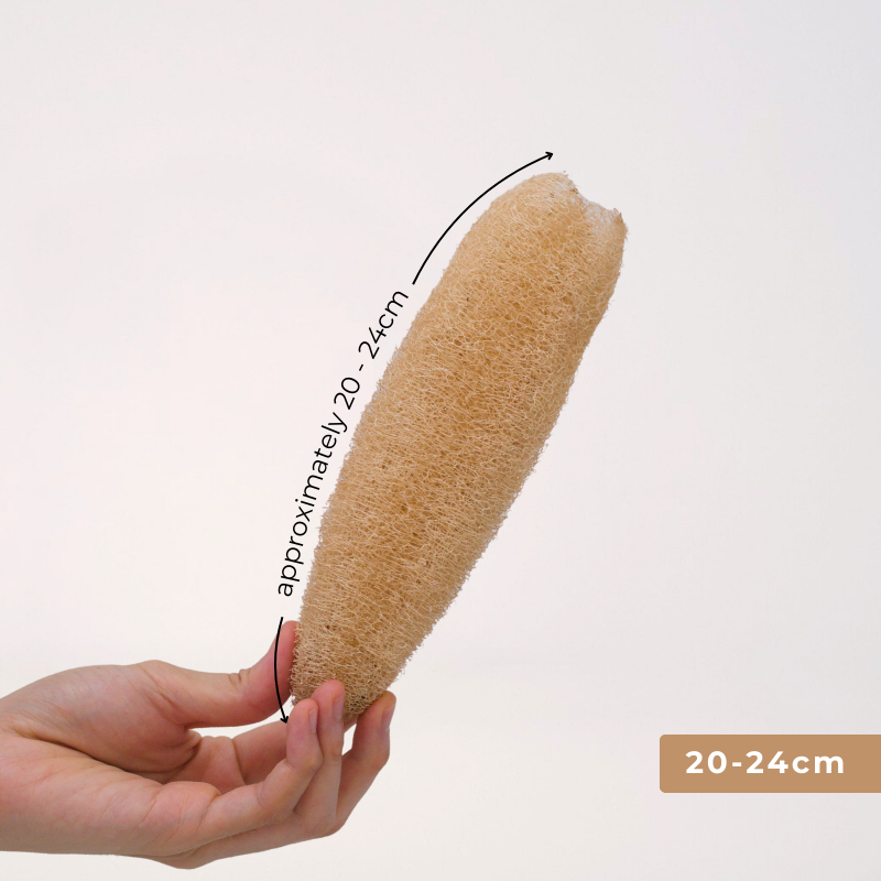 20 - 24cm