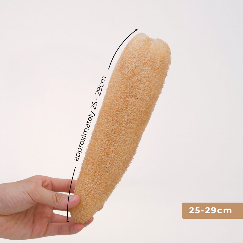 25 - 29cm