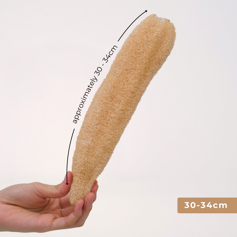 30 - 34cm