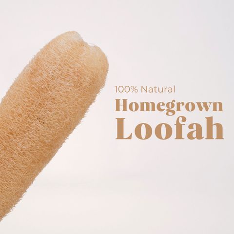 my-11134207-820ld-mkj3y2qavi8894