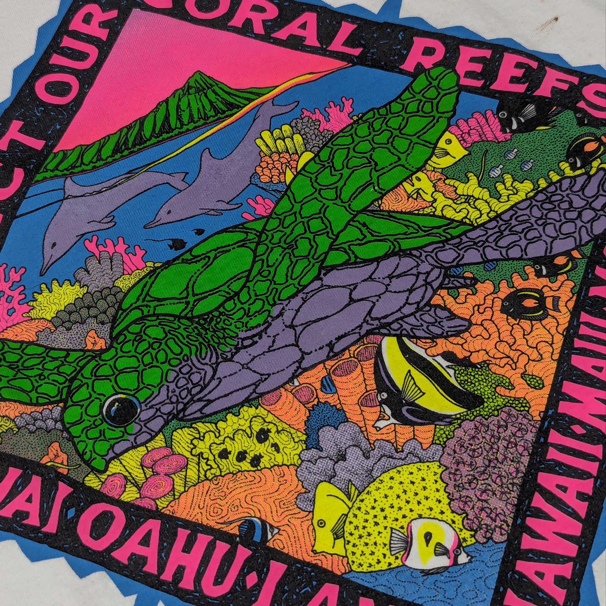 PXL_20240512_162334978