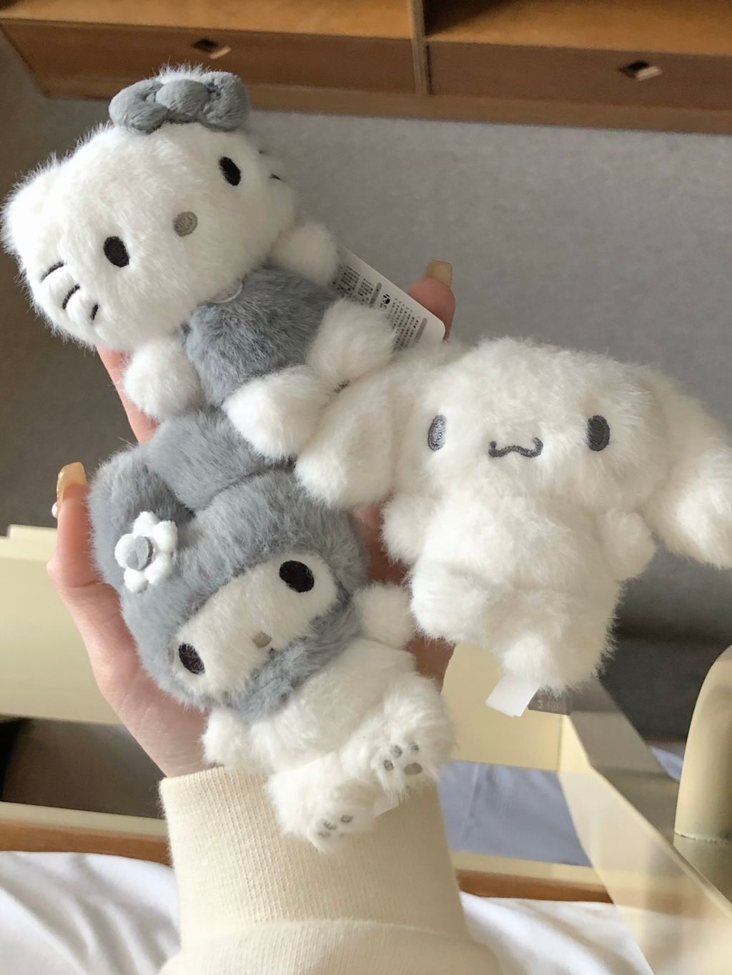 image_7C7D67AF-B7C5-4554-A7A1-D9CFDF73797A_1762592309