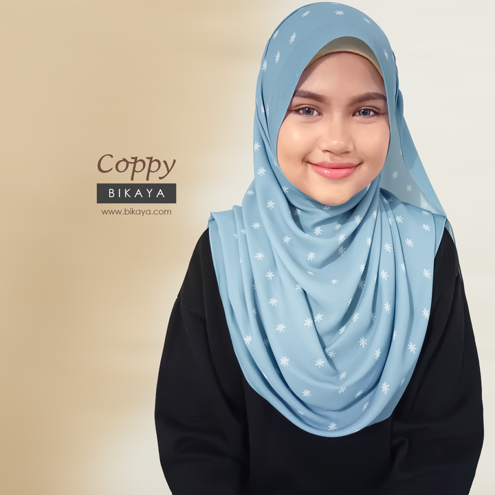 S105-coppy