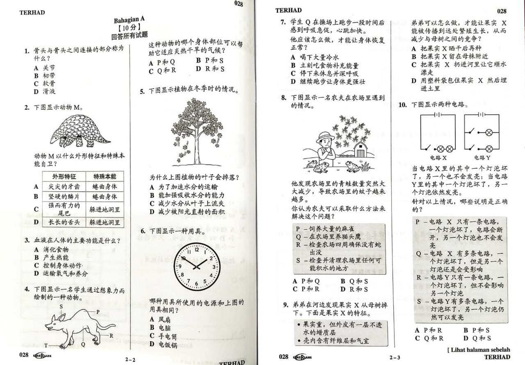 WhatsApp Image 2026-03-18 at 13.40.46 (1)