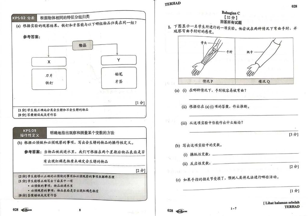 WhatsApp Image 2026-03-18 at 13.40.46 (2)