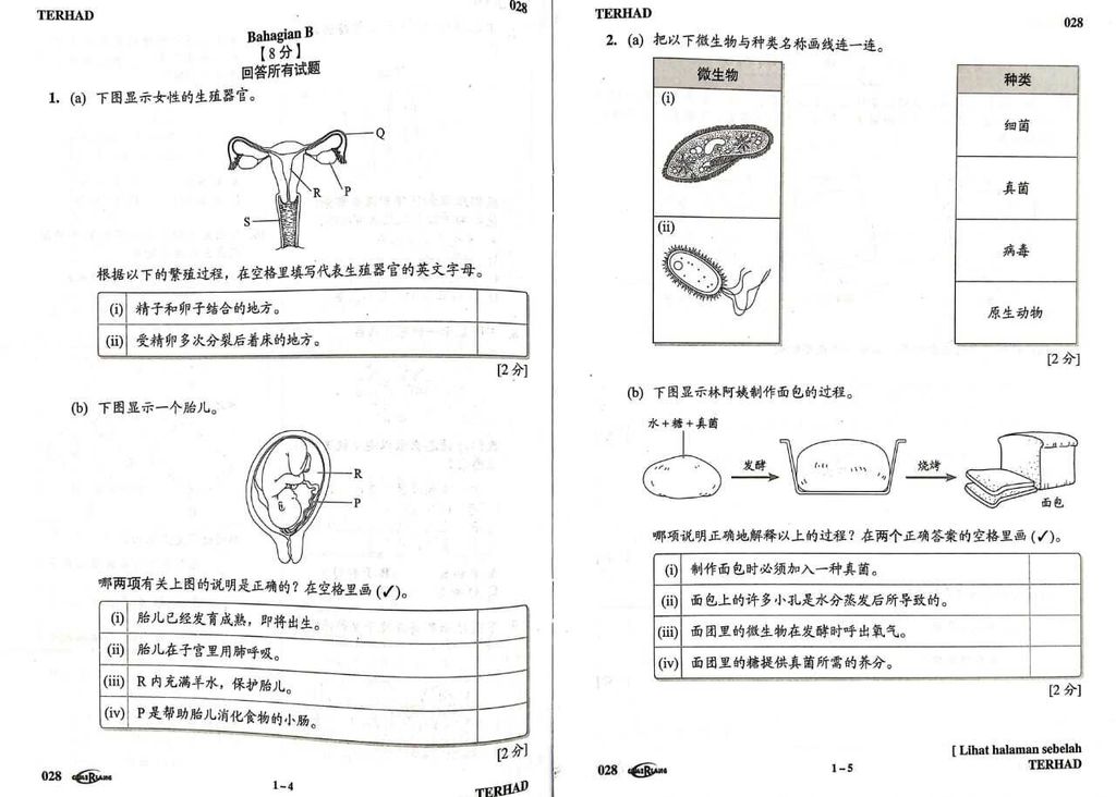 WhatsApp Image 2026-03-18 at 14.00.45