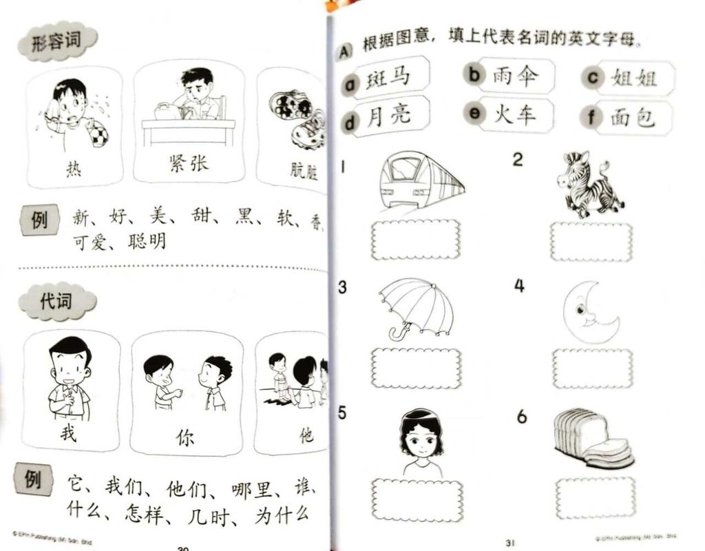 WhatsApp Image 2026-03-26 at 17.09.00