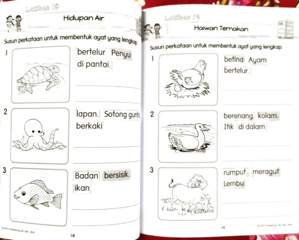 WhatsApp Image 2026-03-26 at 17.09.02 (2)