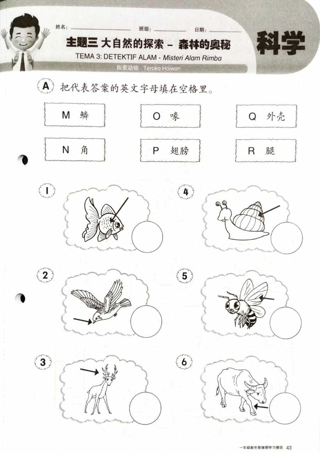 Modul program transisi SCI.jpg