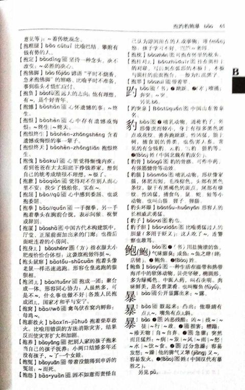 最新汉语大词典pg2.jpg