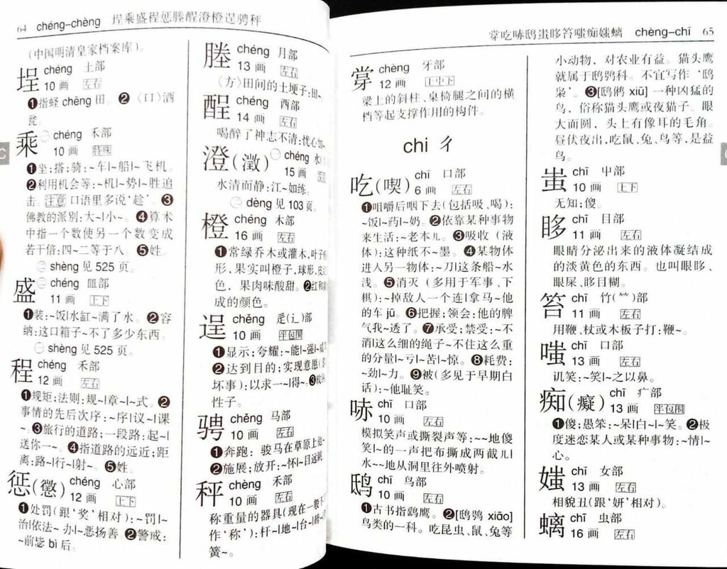 新汉语字典 pg2.jpg
