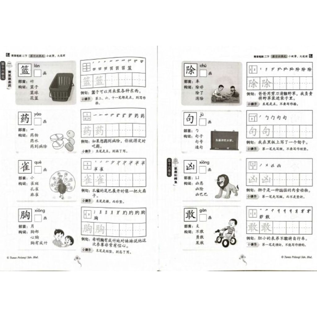 my-11134207-7rasd-m8pmx51t9a0536