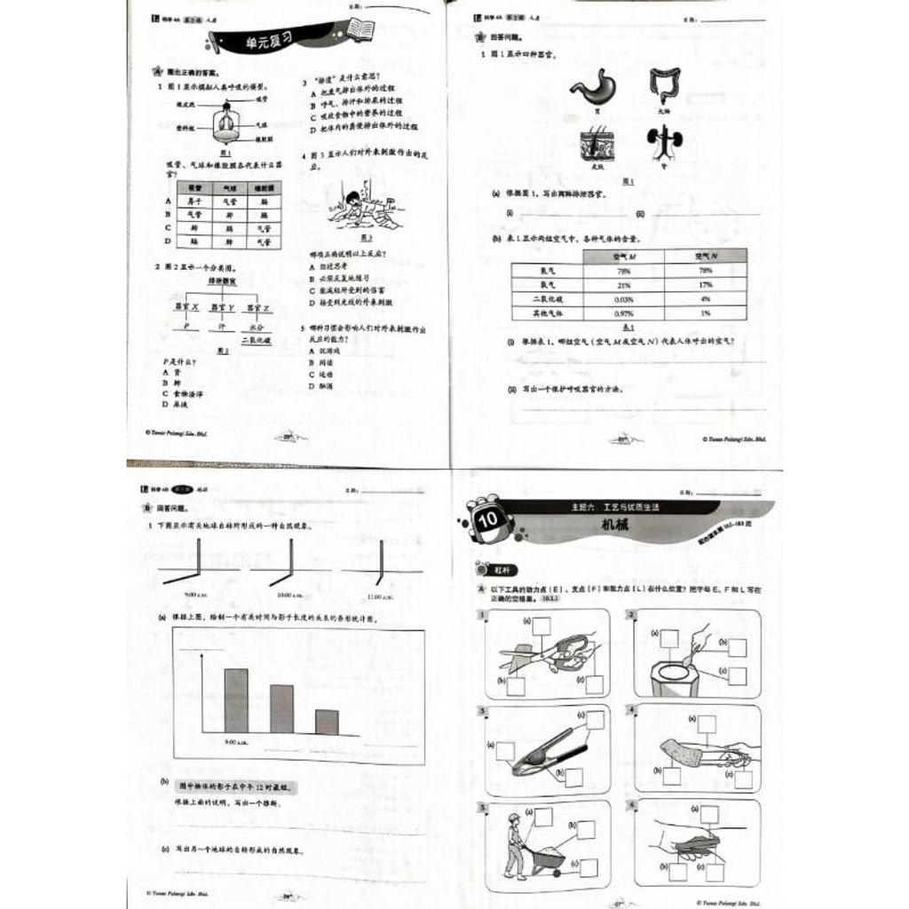 my-11134207-7rasd-m8r9raktnbxwb1